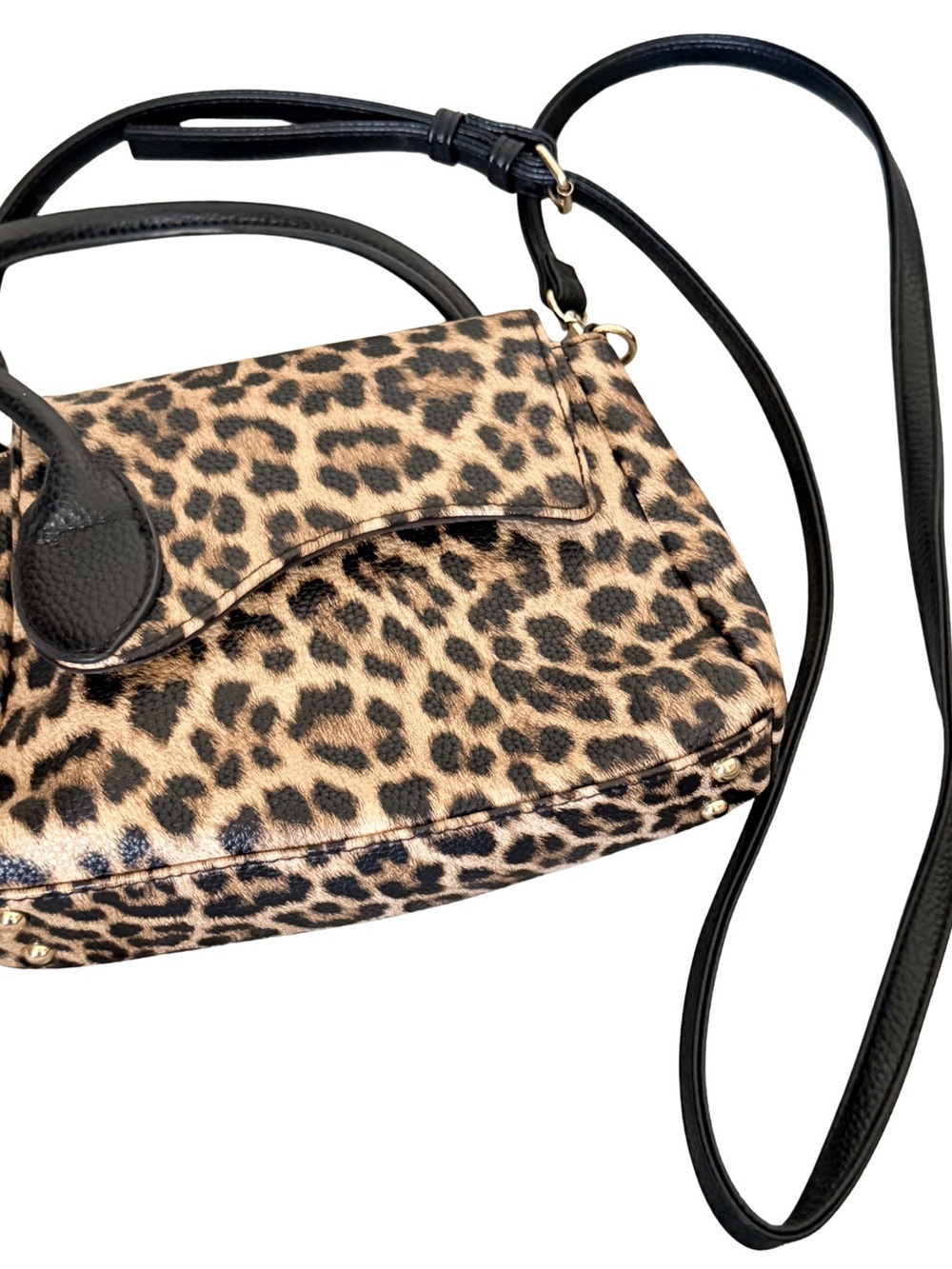 Cato Leopard Print Mini Crossbody with Black Trim